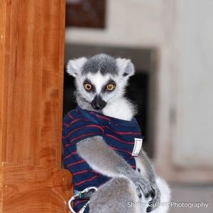 Meet your Posher, Earl